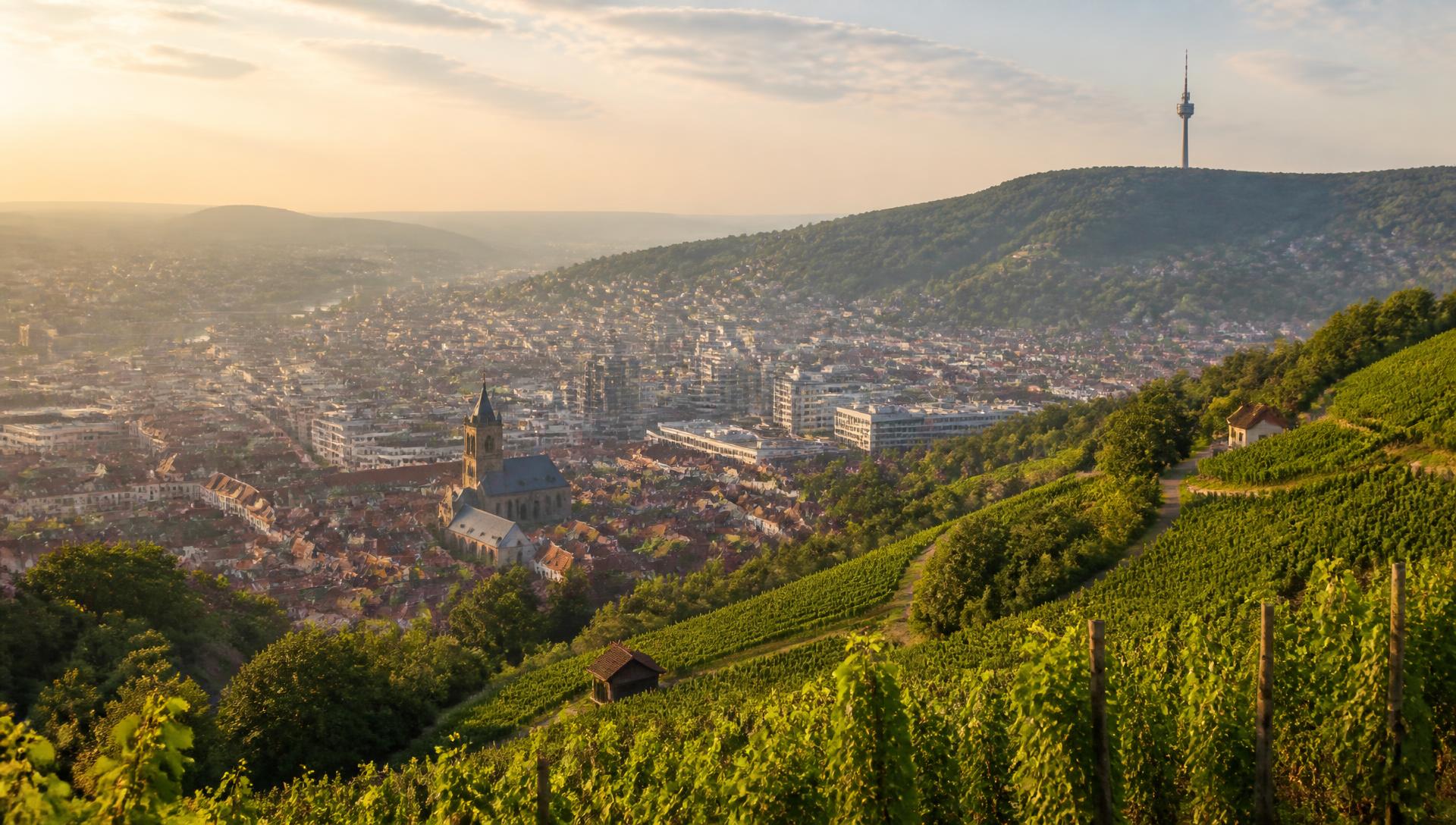 Blick über die Region Stuttgart